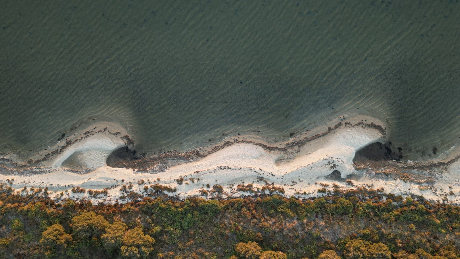 Aerial view of a sandy coastline with gentle waves.